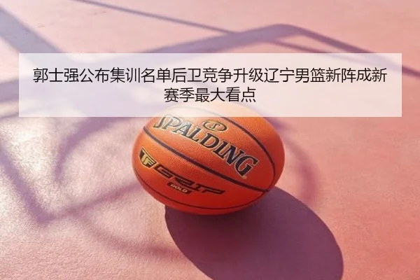 郭士强公布集训名单后卫竞争升级辽宁男篮新阵成新赛季最大看点